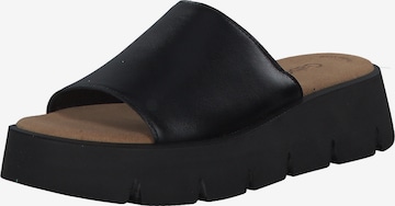 GABOR Mules in Black: front