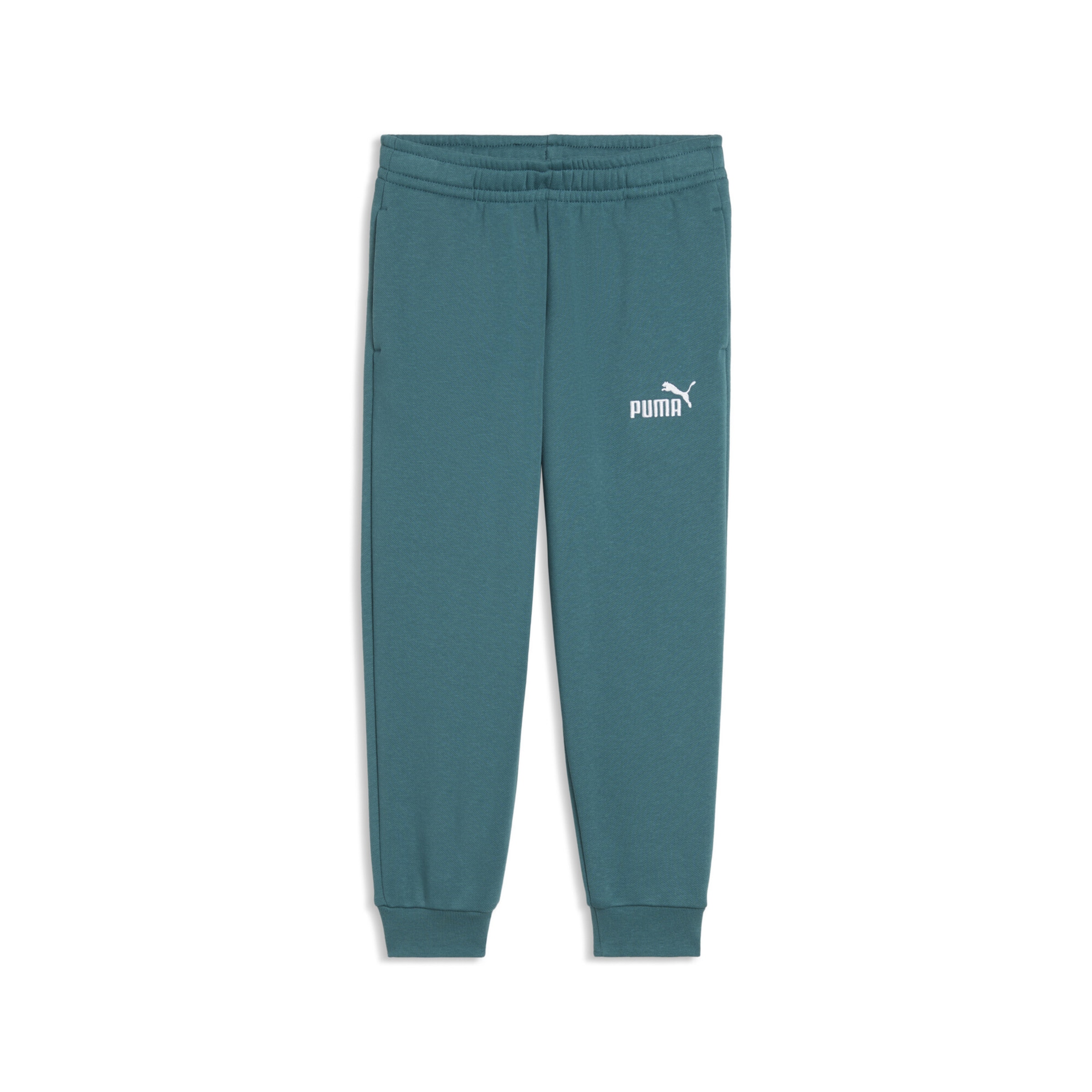 PUMA Broek 'Ess No. 1' in Groen: voorkant