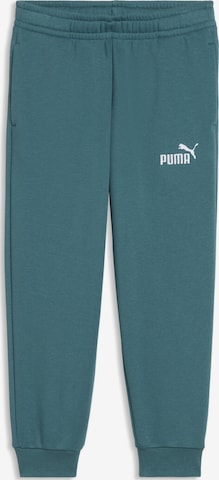 PUMA Broek 'Ess No. 1' in Groen: voorkant