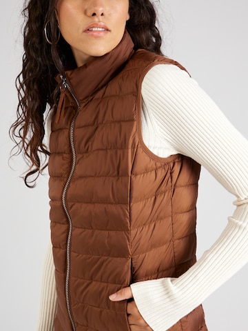 s.Oliver Vest in Brown