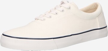 TOMS Sneakers 'ALPARGATA FENIX LACE UP' in White: front