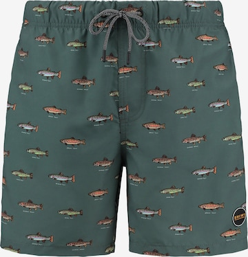 ShiwiKupaće hlače 'Go Fish' - zelena boja: prednji dio
