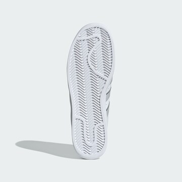 Baskets basses 'Superstar XLG' ADIDAS ORIGINALS en blanc