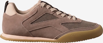 Regular Baskets basses Calvin Klein en marron : devant