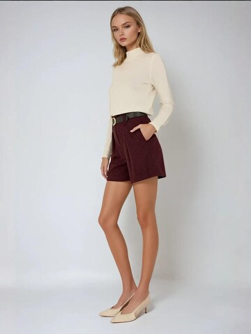 Hiccup Regular Shorts in Rot