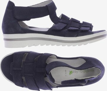 WALDLÄUFER Sandals & High-Heeled Sandals in 38,5 in Blue: front