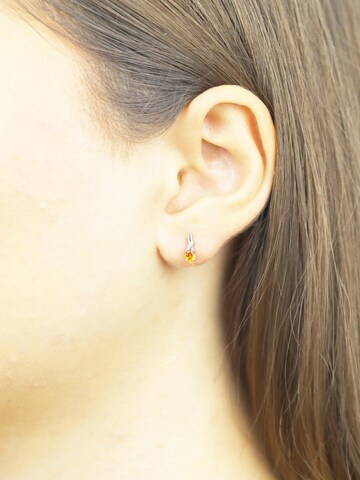 DIAMANT LETERNEL Oorbellen in Zilver