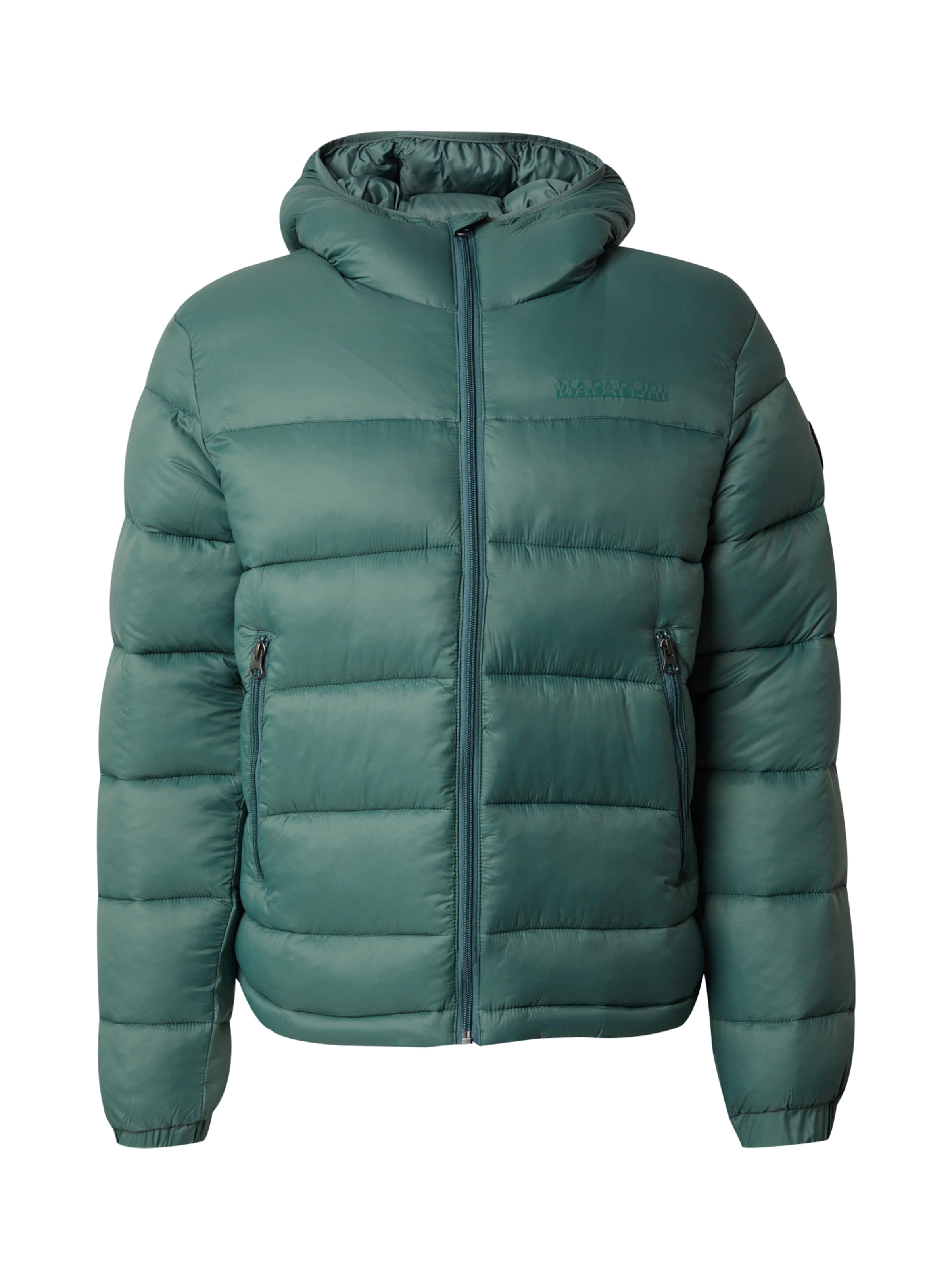 NAPAPIJRI Winter jacket 'ARNEL 1' in Green: front