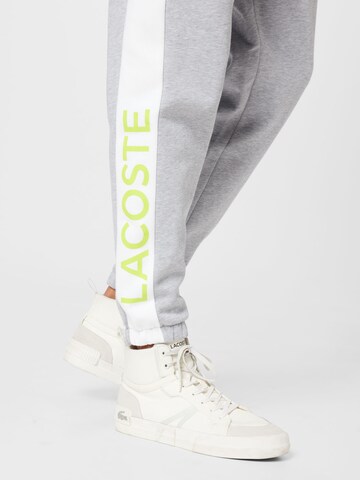 LACOSTE Tapered Pants in Grey