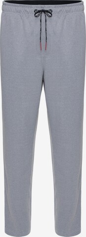 Regular Pantalon de sport Spyder en gris : devant