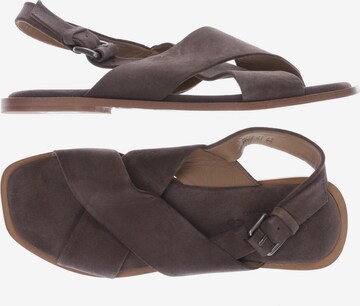 SHABBIES AMSTERDAM Sandals & High-Heeled Sandals in 41 in Brown: front