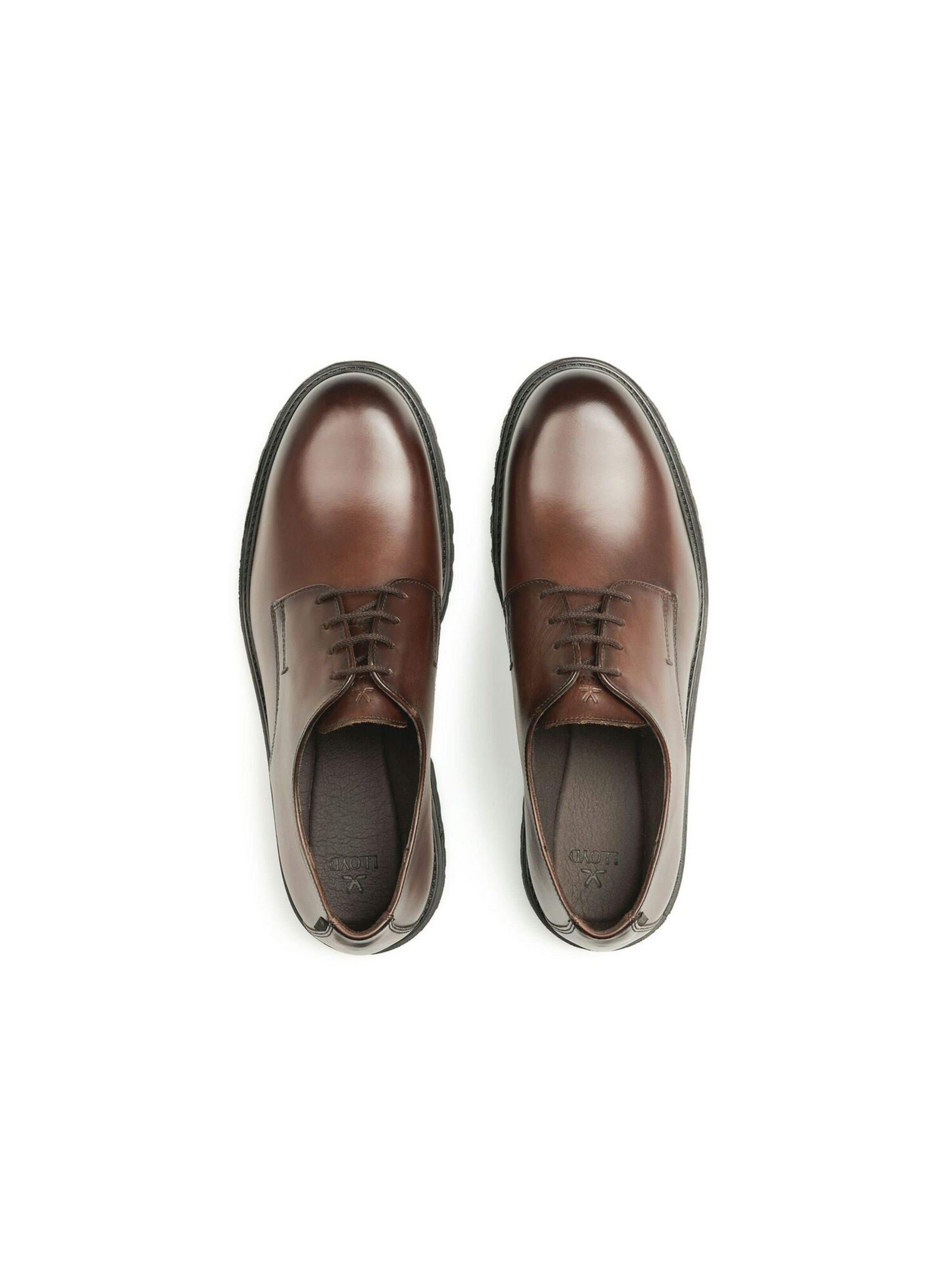 Chaussure à lacets 'SELECT 117G' LLOYD en marron