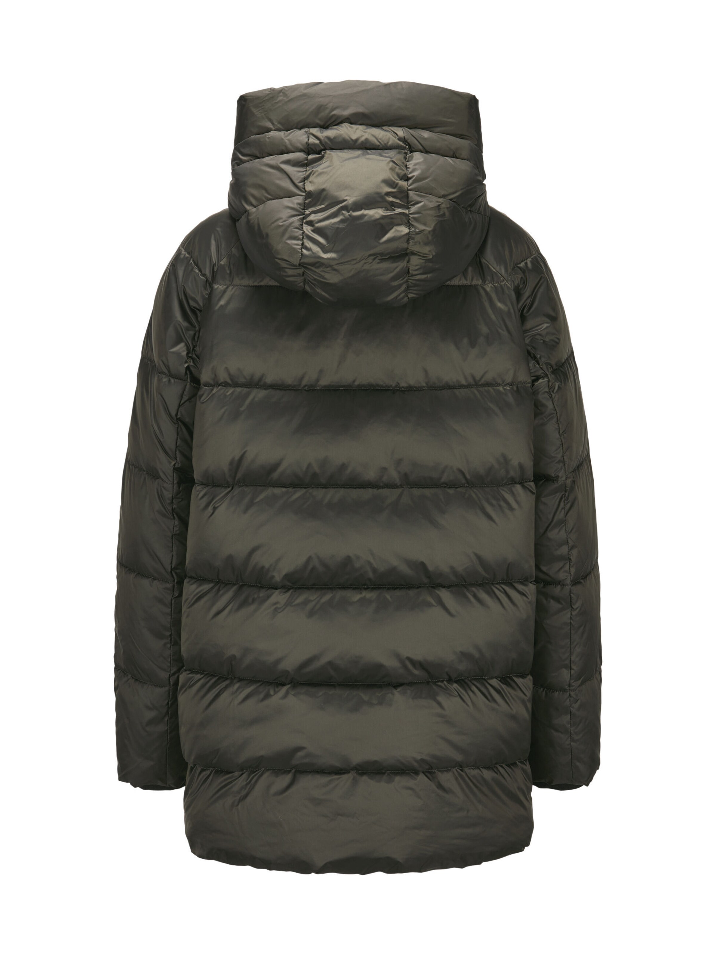 MILESTONE Winterjas 'MSUmeko' in Groen