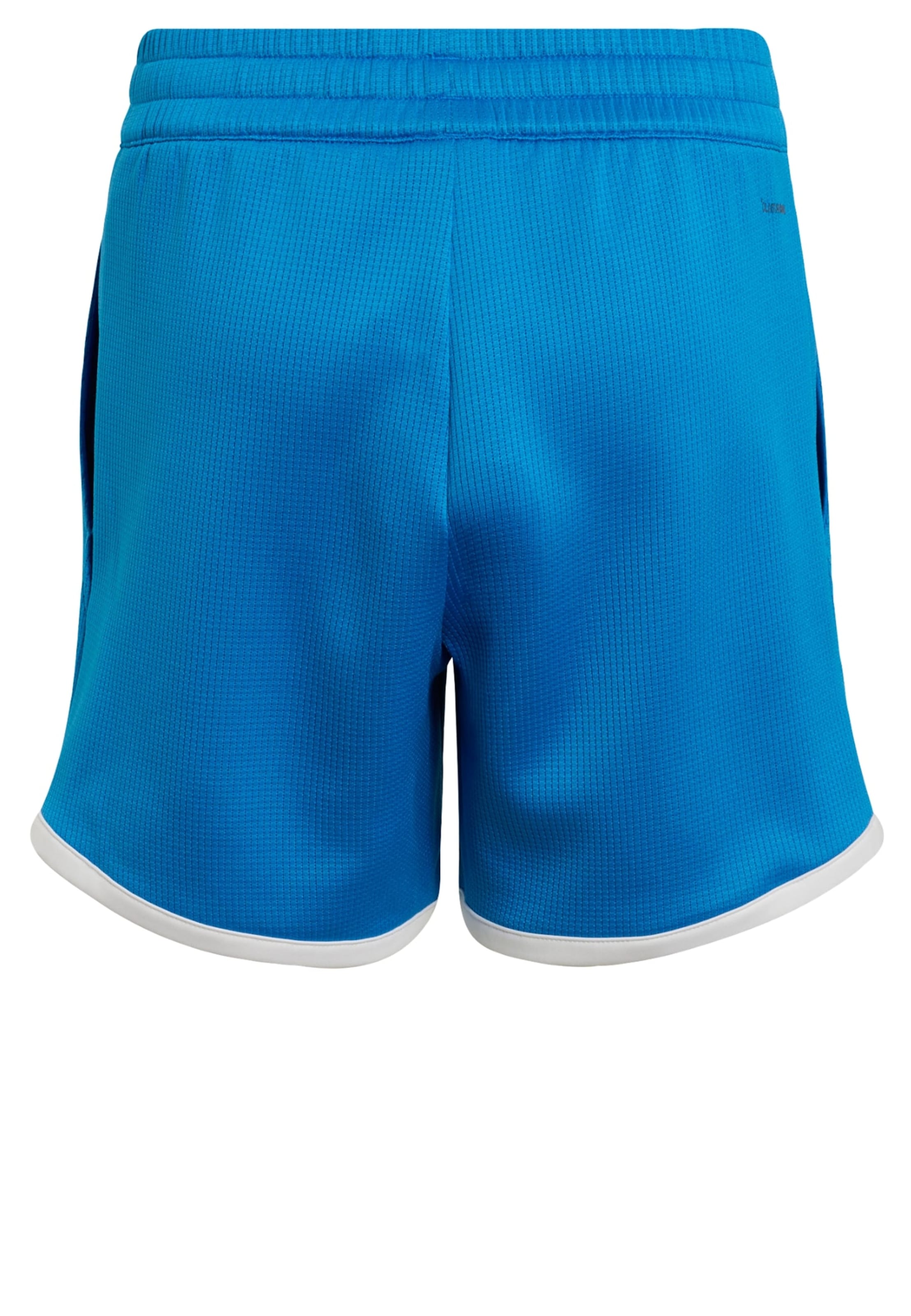 regular Pantaloni sportivi 'Classics' di ADIDAS PERFORMANCE in blu