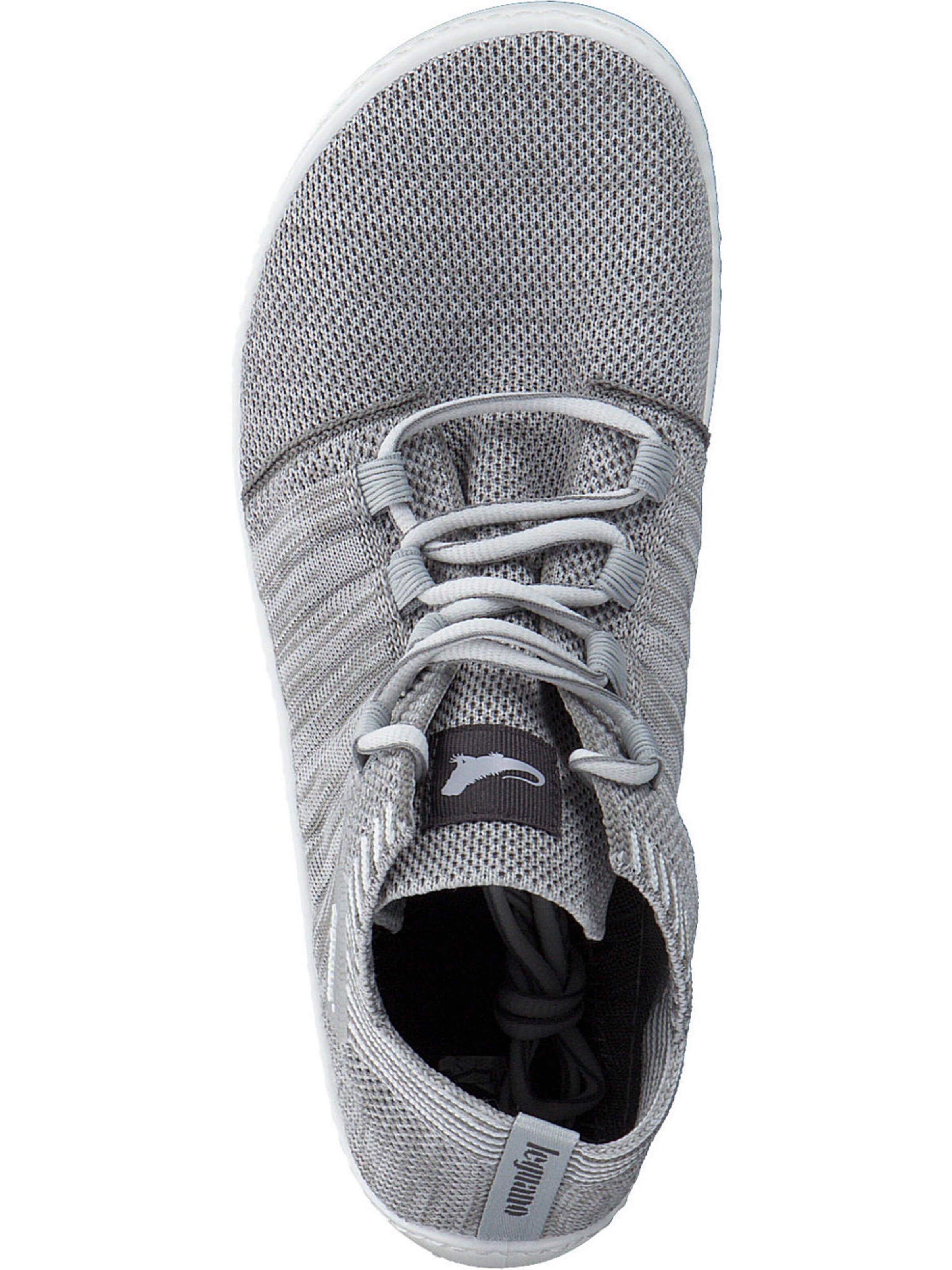 Leguano Sneakers in Grey