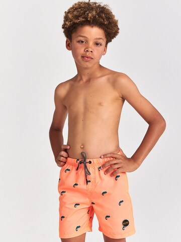 Shiwi Board Shorts in Orange: front