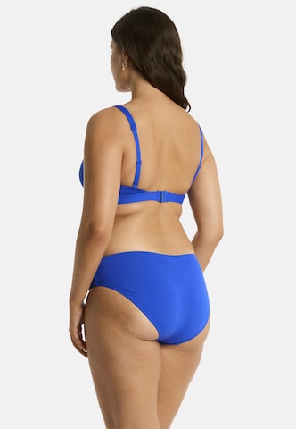 SEA LEVEL Balconette Bikinitop 'Essentials' in Blau