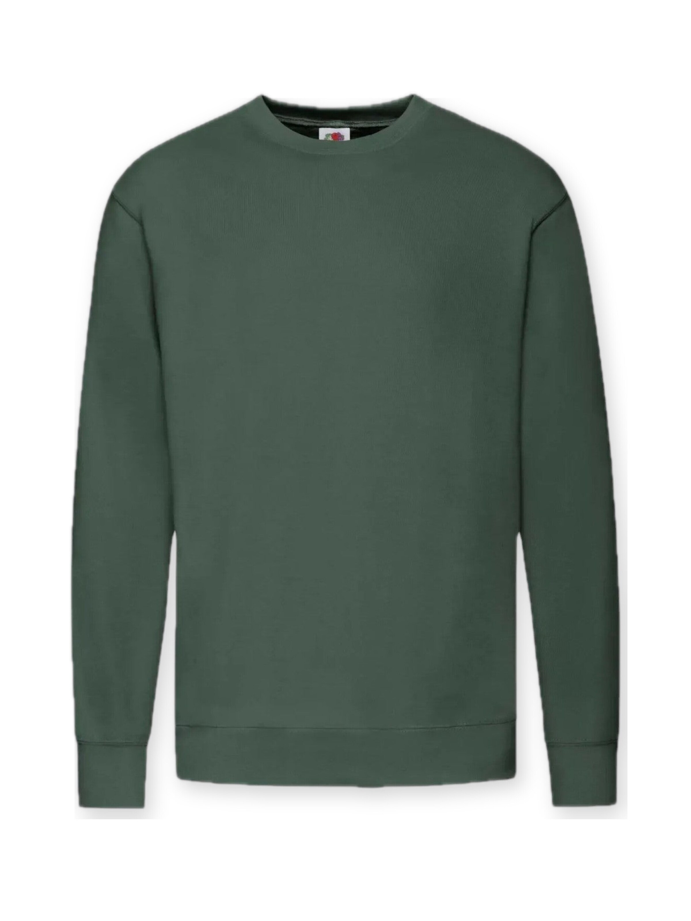 Felpa 'Crewneck sweatshirt' di FRUIT OF THE LOOM in verde: frontale
