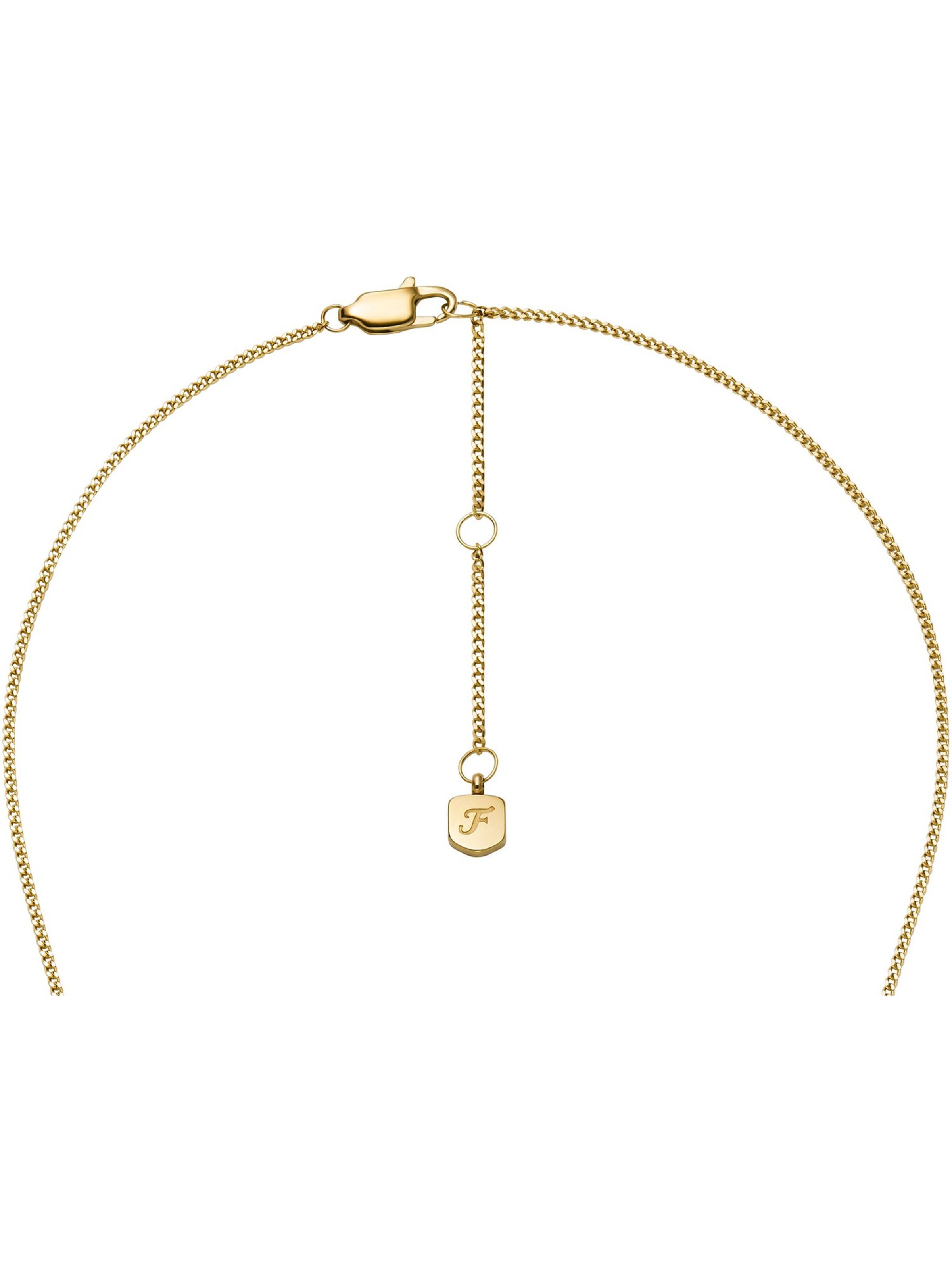 FOSSIL Necklace in Gold