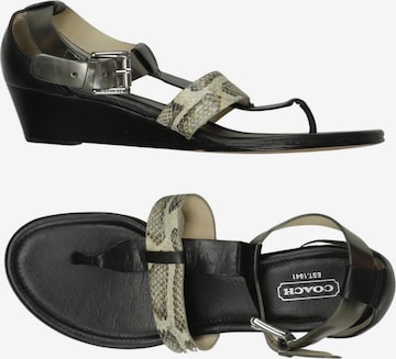 COACH Sandalen 39 in Schwarz: Vorderseite
