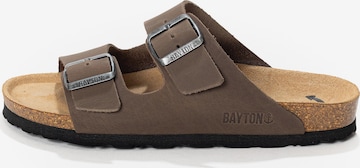 Mule 'Athena' Bayton en gris : devant
