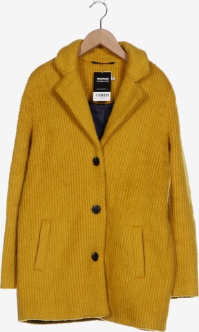 Kaffe Jacket & Coat in XS in Yellow: front