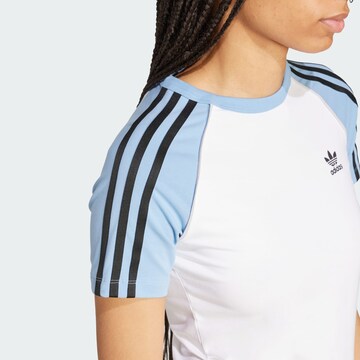 ADIDAS ORIGINALS Särk 'Adicolor', värv valge
