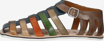 Sandalo di MELVIN & HAMILTON in colori misti