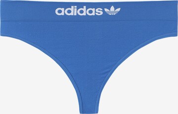 ADIDAS ORIGINALS String ' Smart & Novel ' in Blauw: voorkant