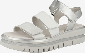 Sandalo con cinturino di GABOR in grigio: frontale