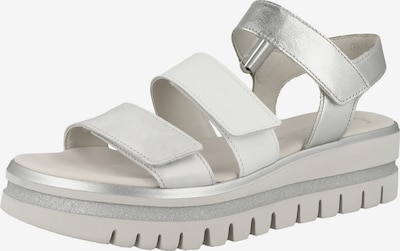 GABOR Riemensandale in hellgrau / silber / weiß, Produktansicht