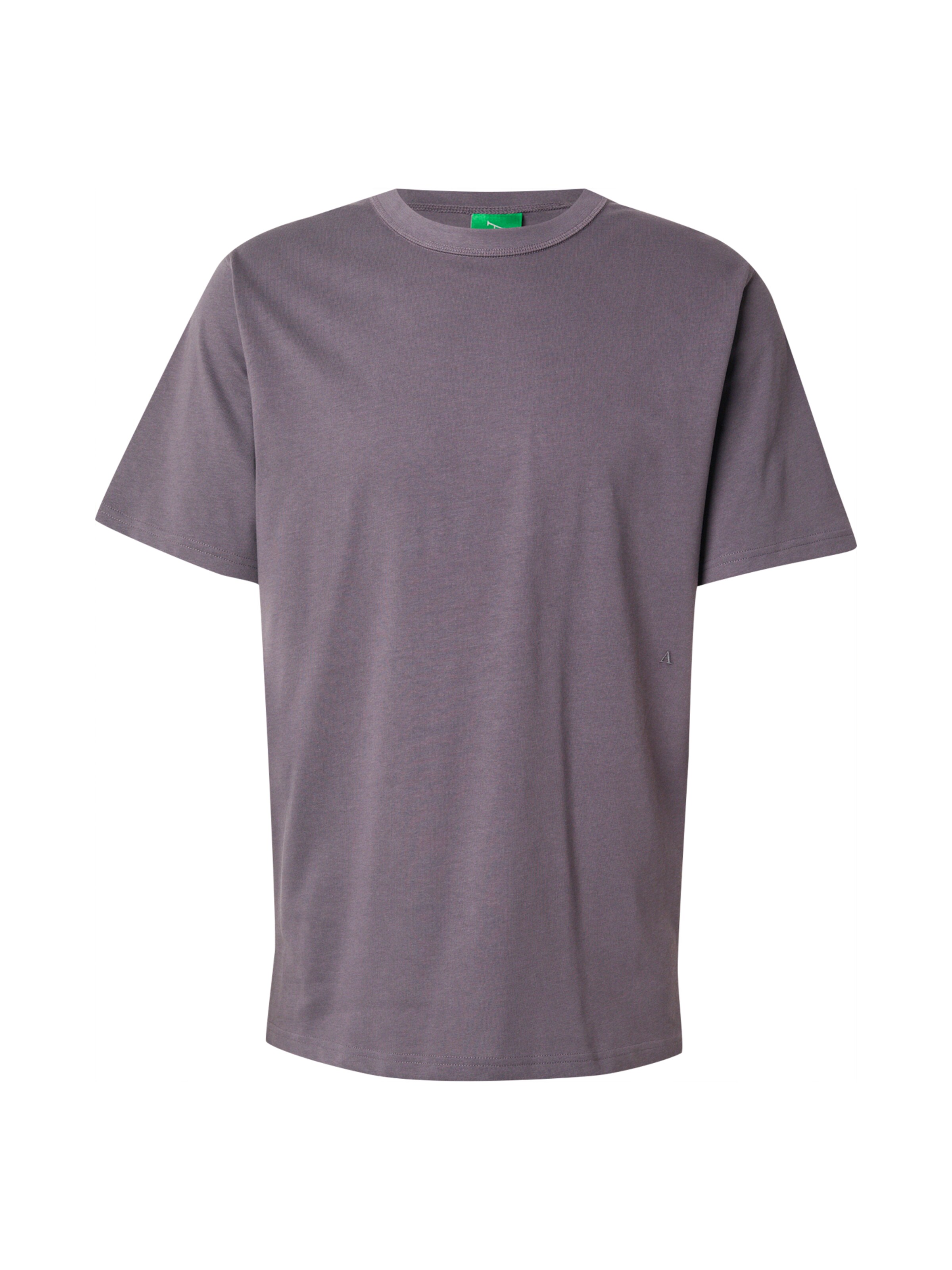 ANNARR Shirt 'ANRRO' in Grey: front