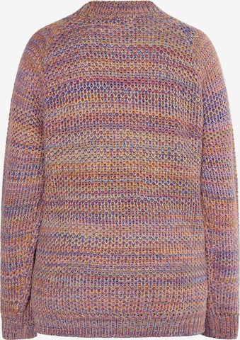 Pullover 'Hoona' di IZIA in colori misti