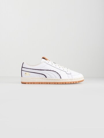 PUMA Sneaker low 'Ralph Sampson 70' in Weiß