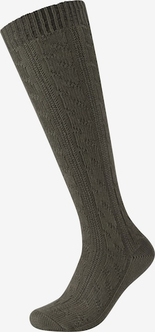camano Knee socks in Green: front