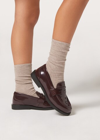 CALZEDONIA Socks in Beige