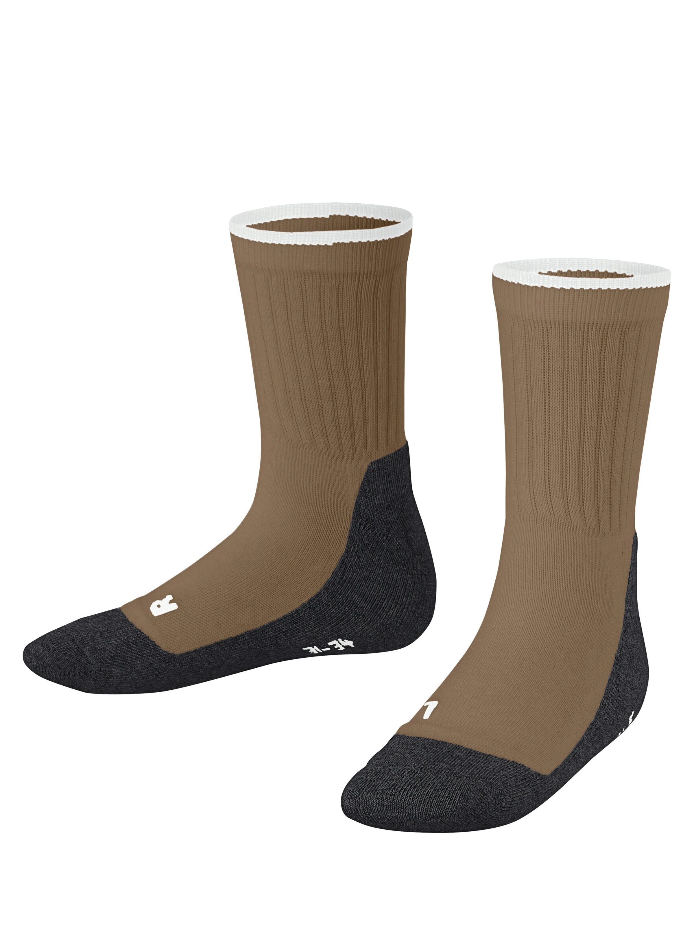 FALKE Socks 'Active Everyday' in Beige: front