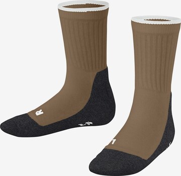 FALKE Socks 'Active Everyday' in Beige: front