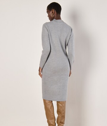 Robe ' ' Apricot en gris