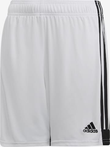 ADIDAS PERFORMANCE Regular Workout Pants 'Tastigo 19' in White: front