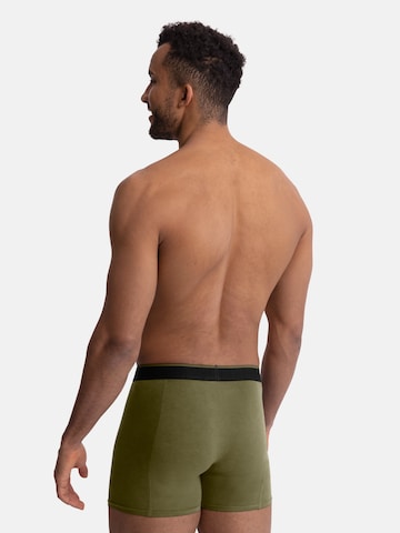 Boxers 'Bamboo' DANISH ENDURANCE en vert