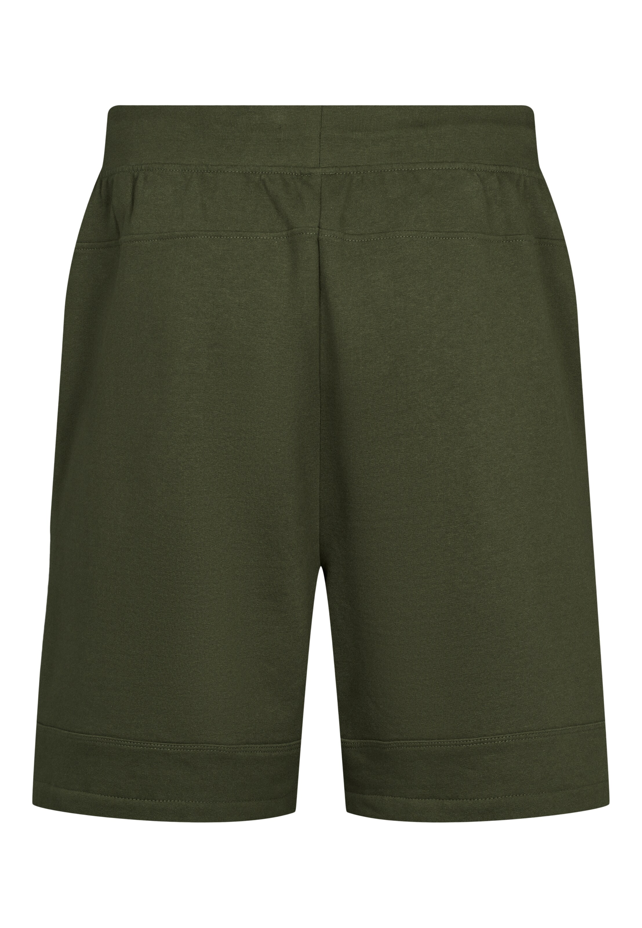 Regular Pantalon 'Carsten' U.S. POLO ASSN. en vert