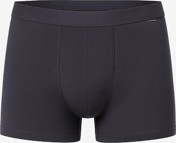Blackspade Boxershorts in Grau: Vorderseite