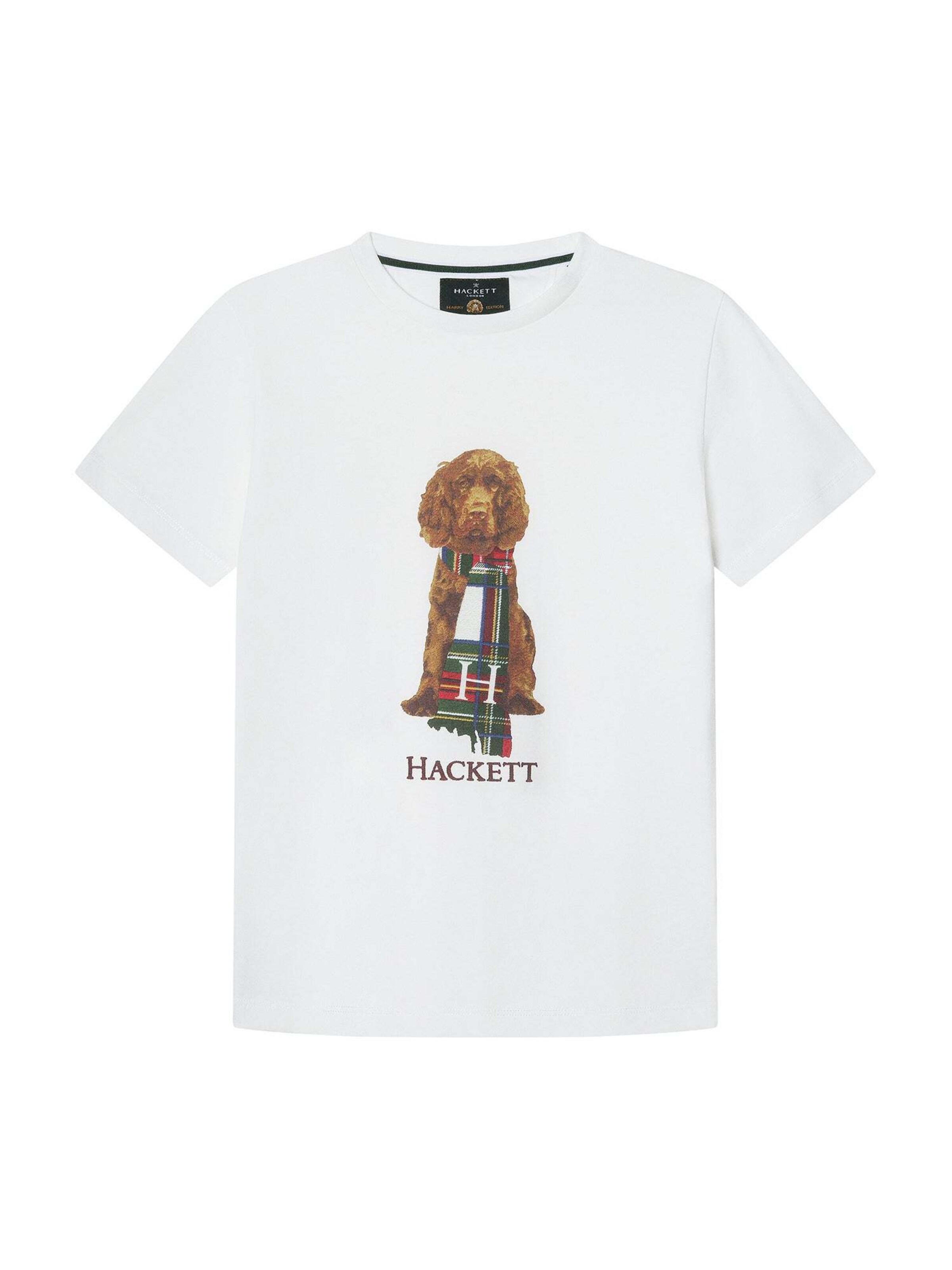 T-Shirt 'Heritage Harry' Hackett London en blanc : devant
