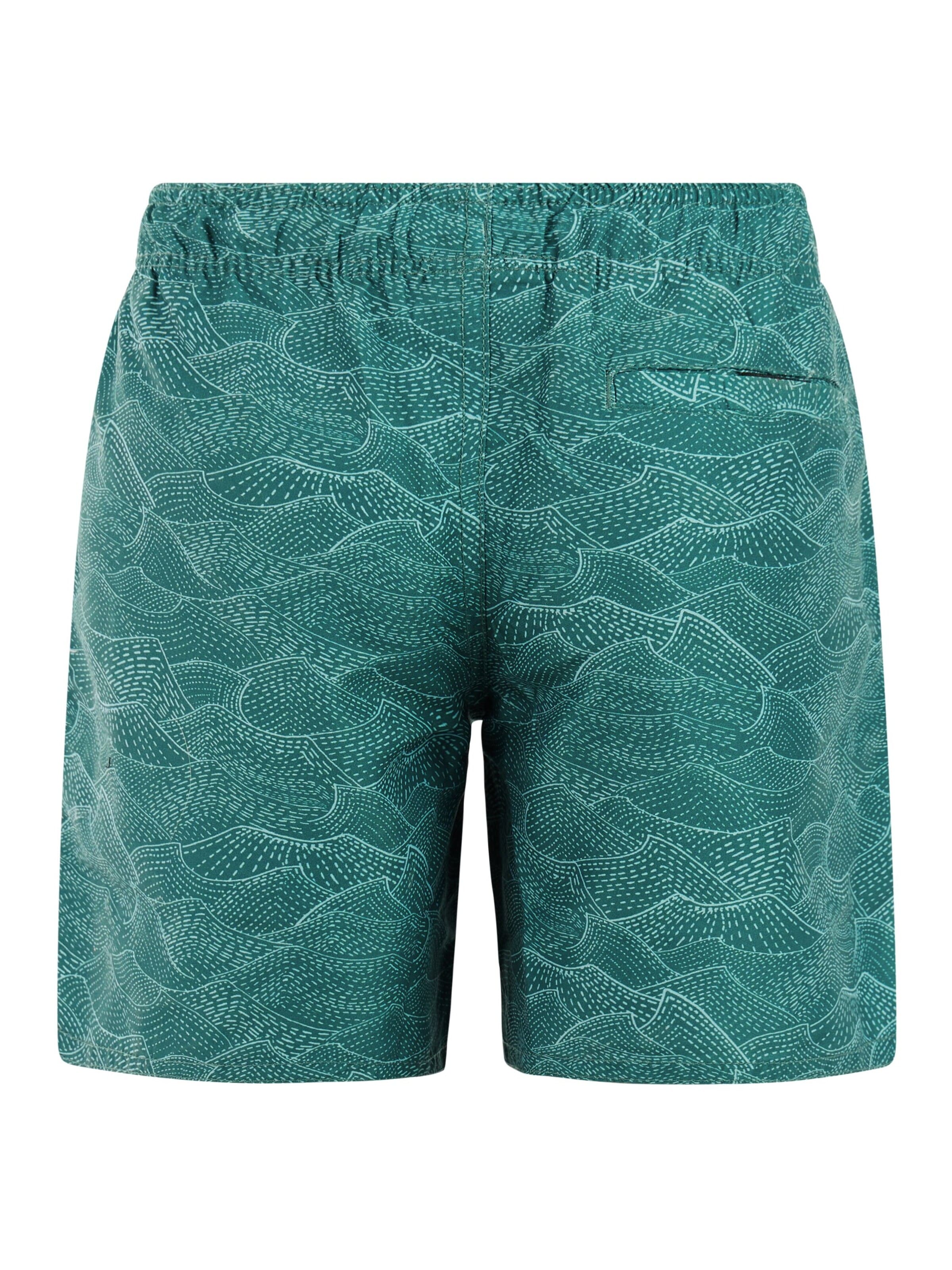 PROTEST Board Shorts 'PRTFloris JR' in Green