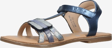 Kickers Sandalen in Blauw: voorkant