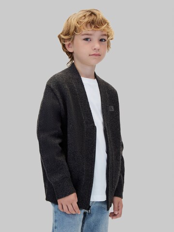 Calvin Klein Jeans Sweatvest in Grijs: voorkant