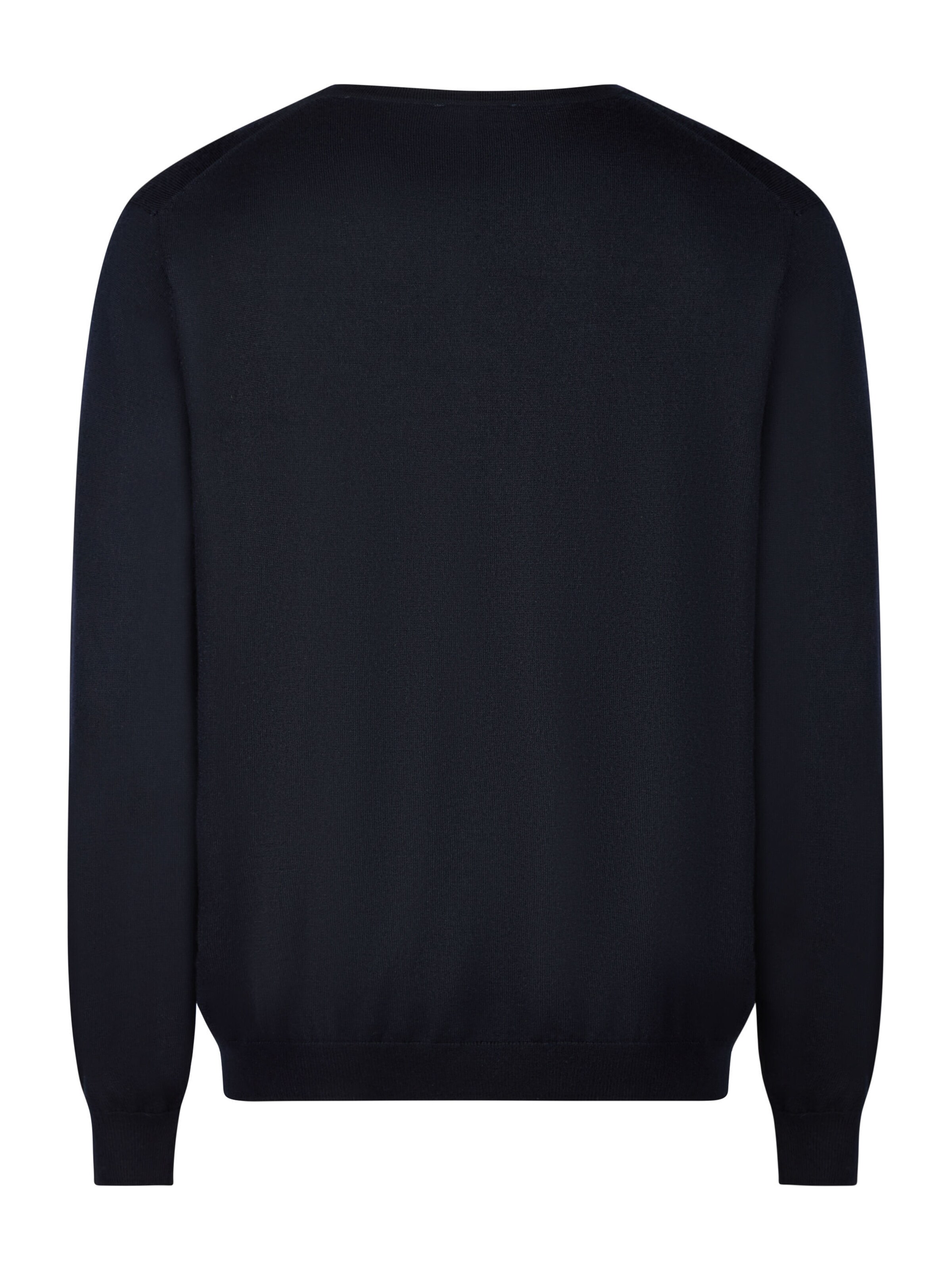 PIERRE CARDIN Trui in Blauw