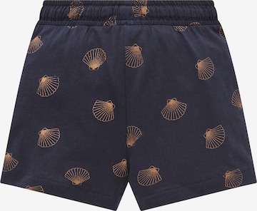 TOM TAILOR Regular Shorts in Blau