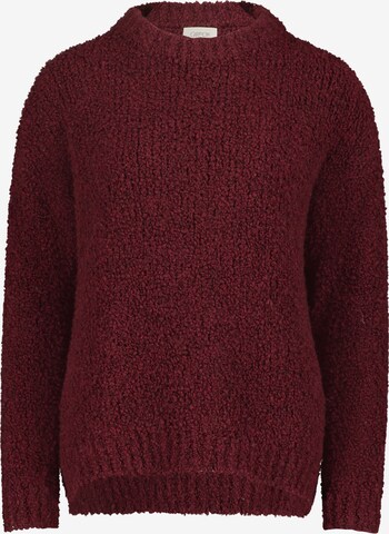 Cartoon Pullover in Rot: predná strana